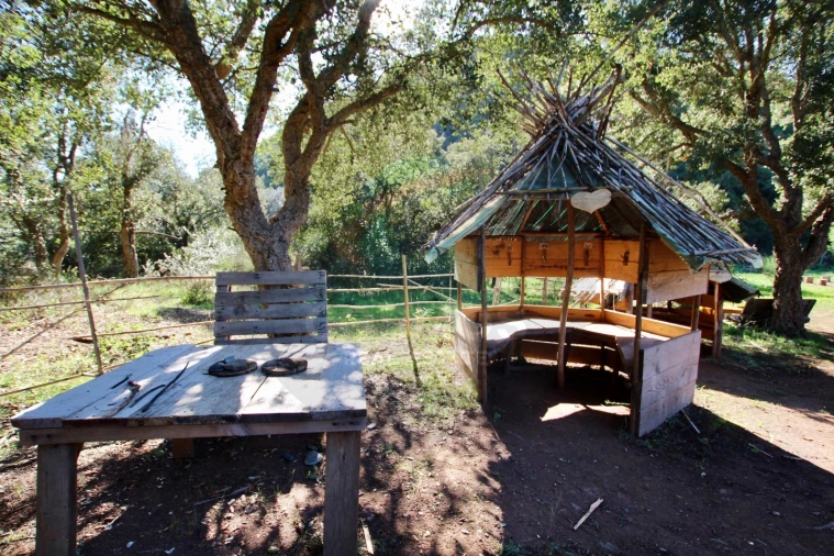 Terreno Agricola ou Rústico para Venda em Aljezur Foto 15