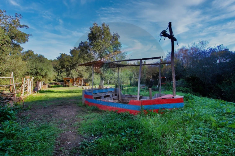 Terreno Agricola ou Rústico para Venda em Aljezur Foto 22