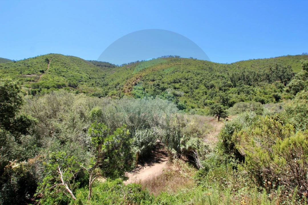 Terreno Misto para Venda em Aljezur Foto 3