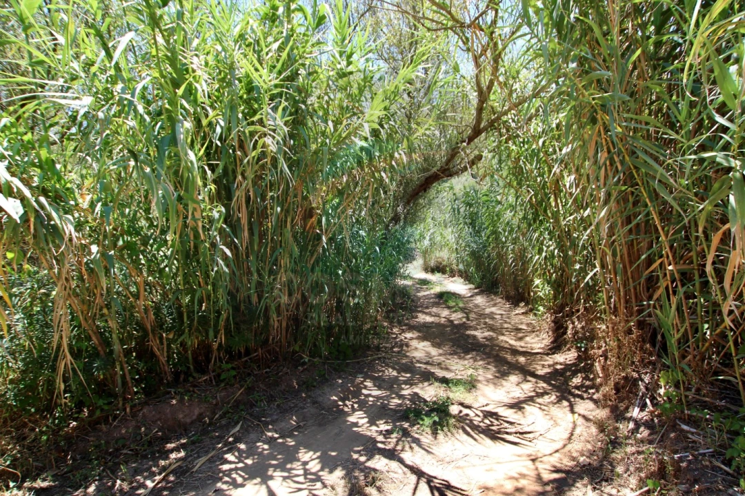 Terreno Misto para Venda em Aljezur Foto 5