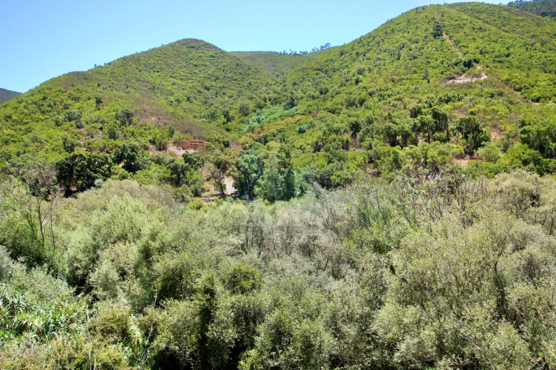 Terreno Misto para Venda em Aljezur Foto 30
