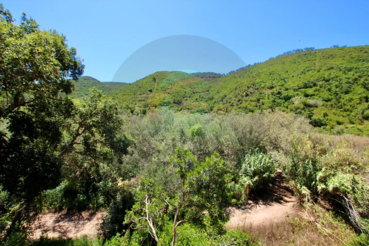 Terreno Misto para Venda em Aljezur Foto 31