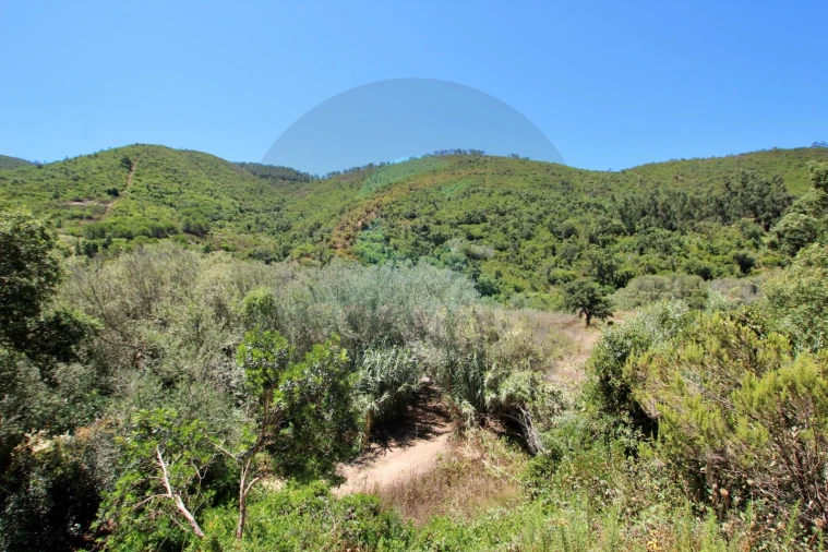 Terreno Misto para Venda em Aljezur Foto 3
