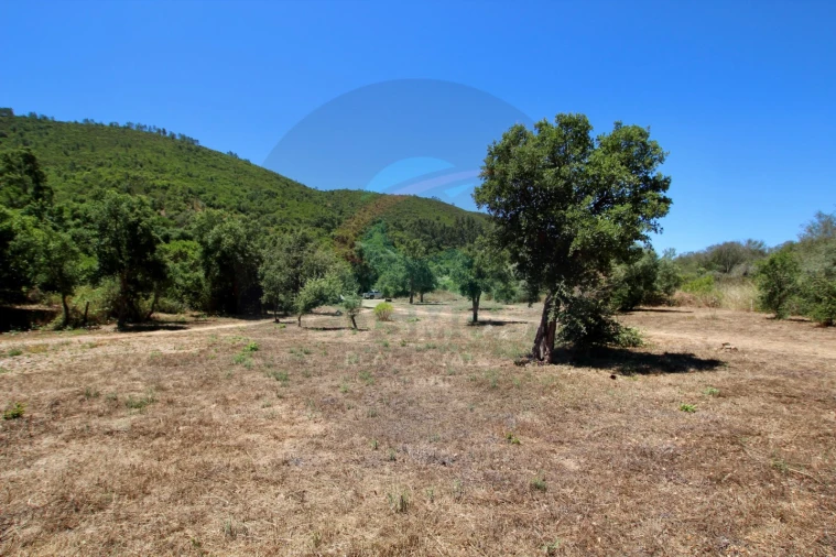 Terreno Misto para Venda em Aljezur Foto 26