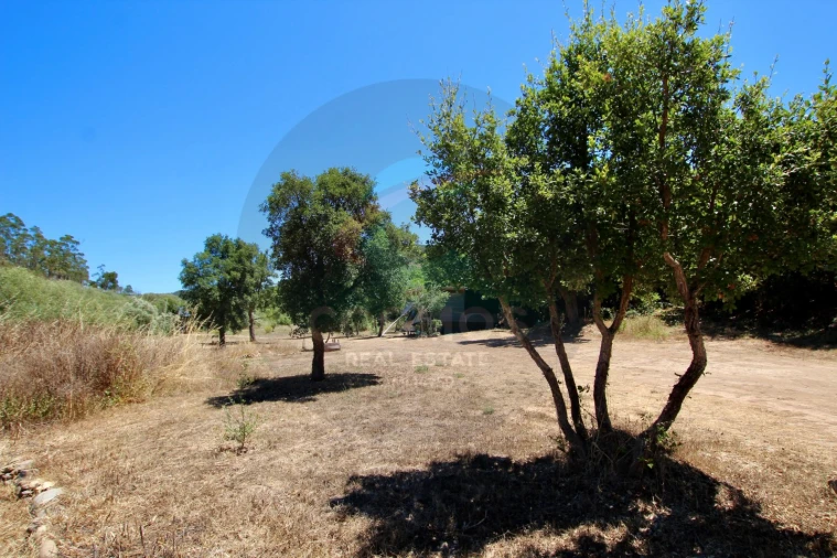 Terreno Misto para Venda em Aljezur Foto 23