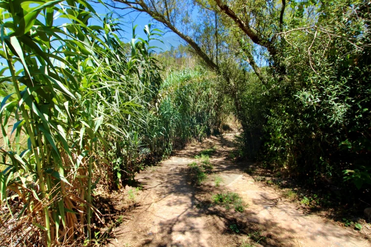 Terreno Misto para Venda em Aljezur Foto 38