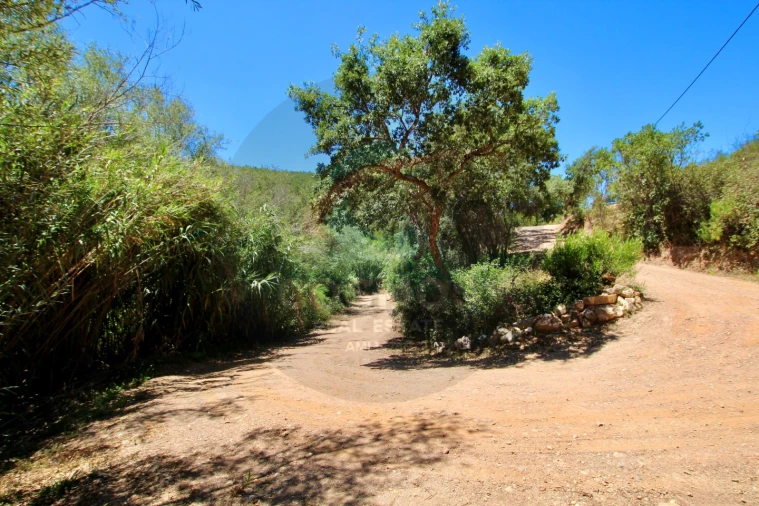 Terreno Misto para Venda em Aljezur Foto 35