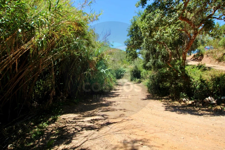 Terreno Misto para Venda em Aljezur Foto 37