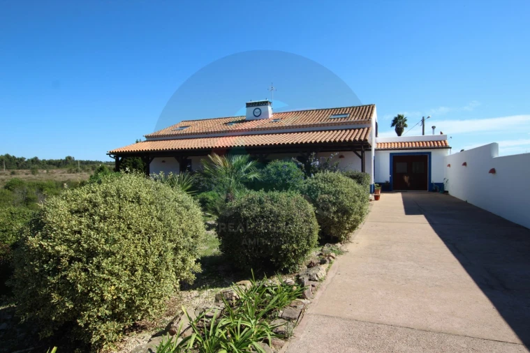 Quinta T8 para Venda em São Teotónio Foto 6