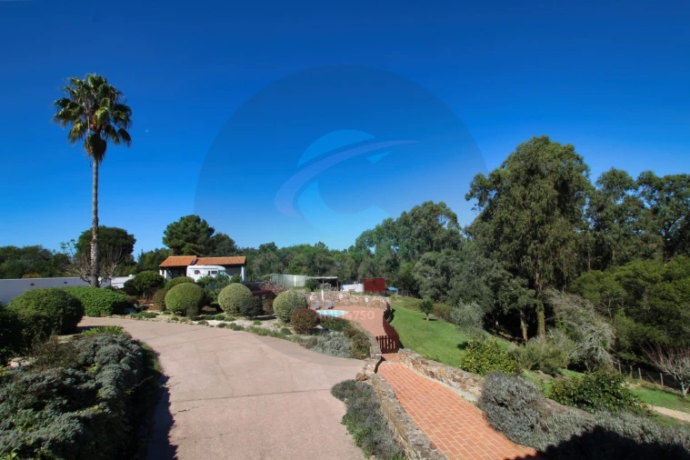 Quinta T8 para Venda em São Teotónio Foto 76