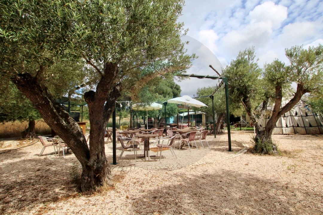 Negócio para Venda em Aljezur Foto 27