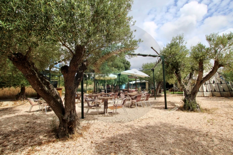 Negócio para Venda em Aljezur Foto 27