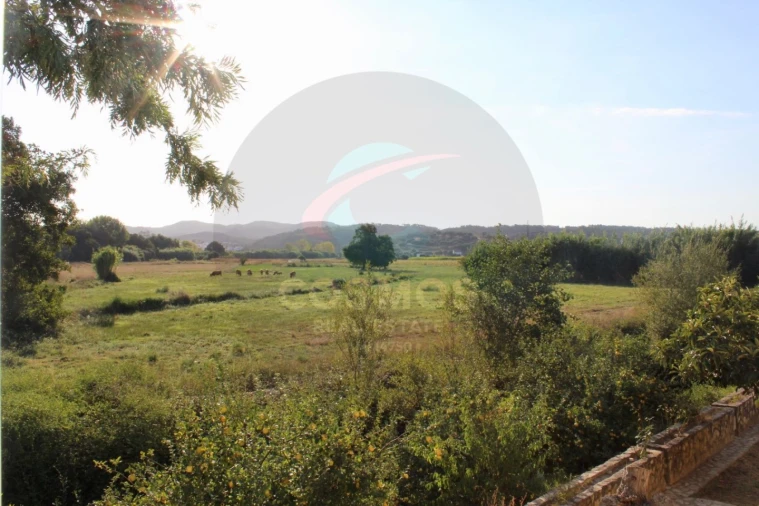 Negócio para Venda em Aljezur Foto 15