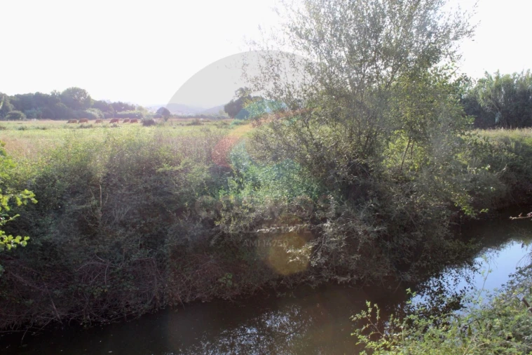 Negócio para Venda em Aljezur Foto 7