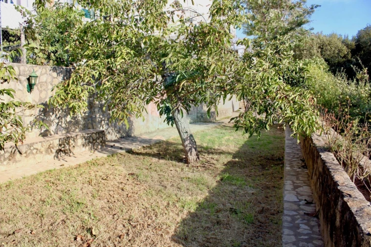 Negócio para Venda em Aljezur Foto 6