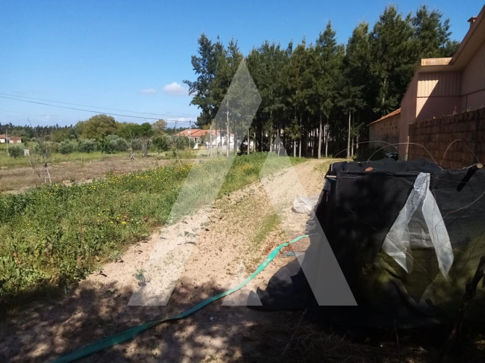 Terreno para Venda em Vilarinho do Bairro Foto 2