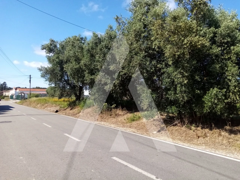 Terreno para Venda em Vilarinho do Bairro Foto 9