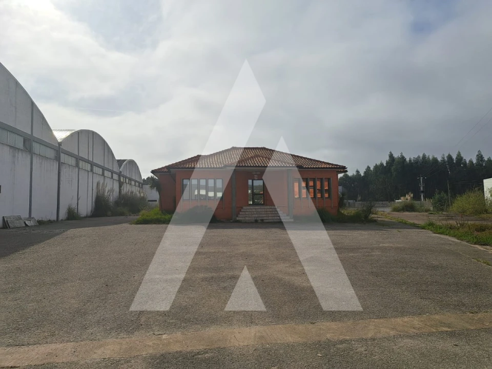 Armazém para Venda em Águeda e Borralha Foto 4