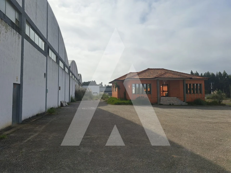 Armazém para Venda em Águeda e Borralha Foto 8