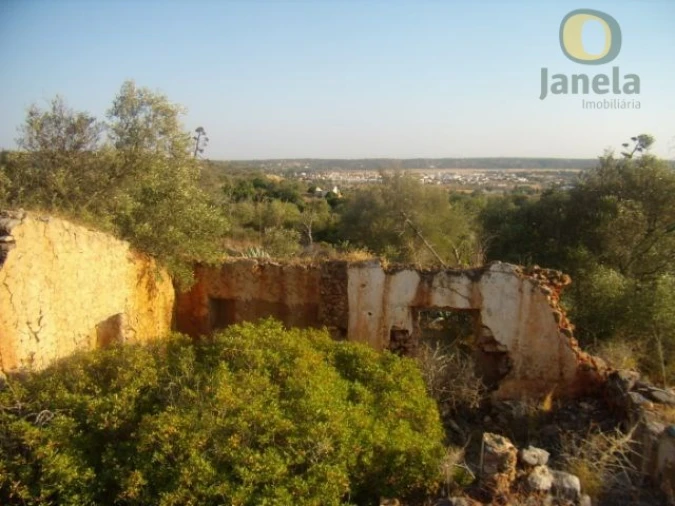 Quinta T4 para Venda em Algoz e Tunes Foto 2