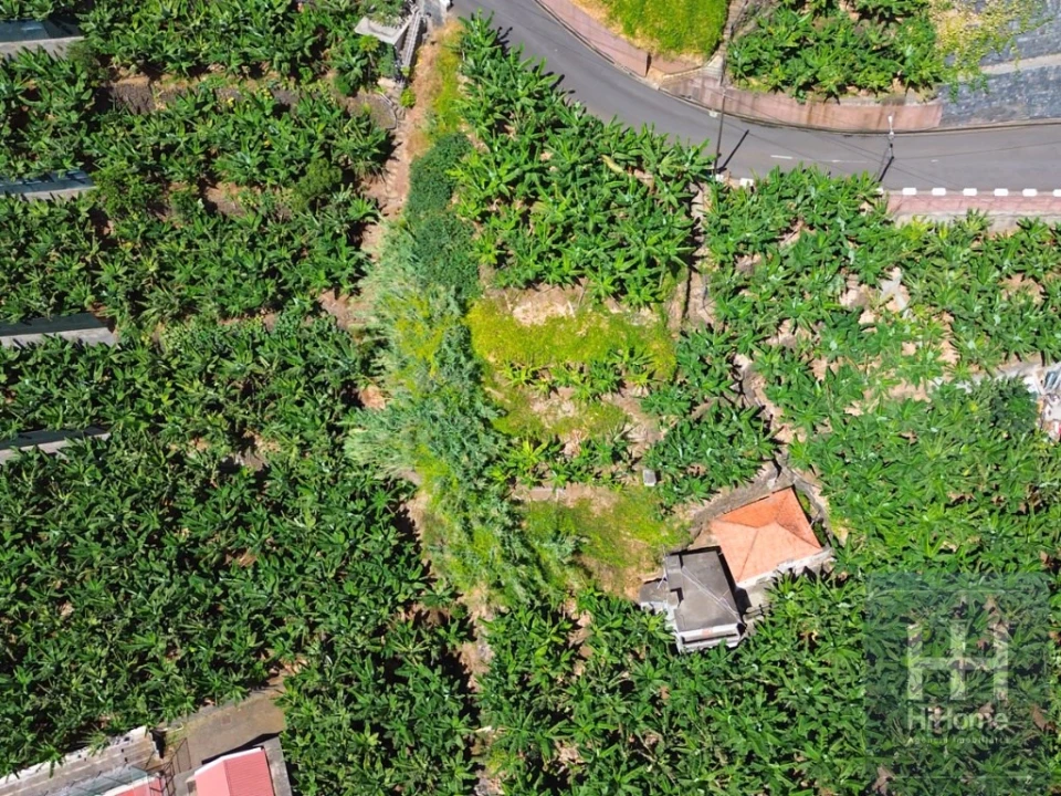 Terreno para Venda em Madalena do Mar Foto 3