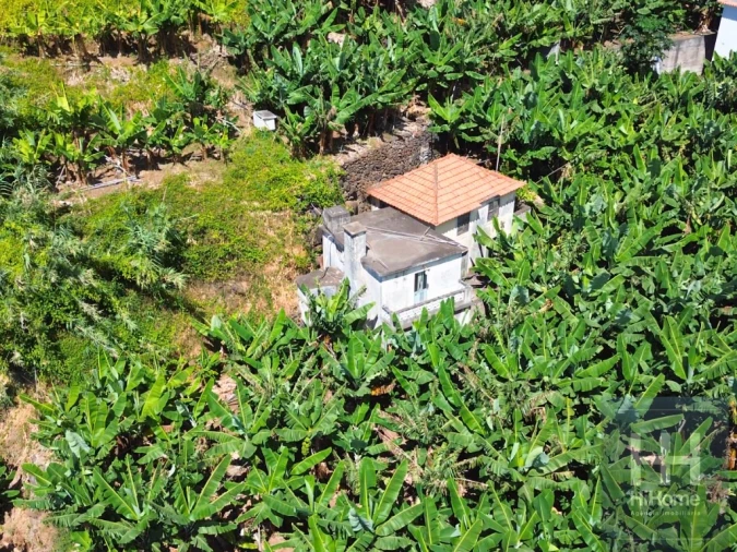 Terreno para Venda em Madalena do Mar Foto 4