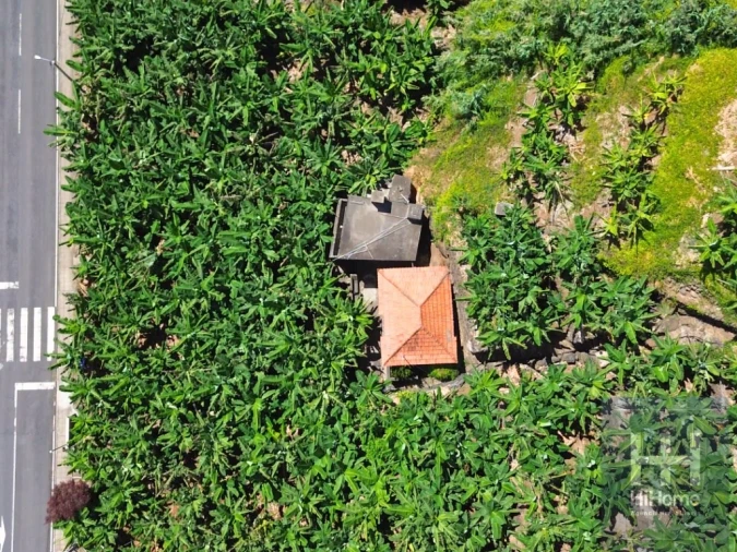 Terreno para Venda em Madalena do Mar Foto 8