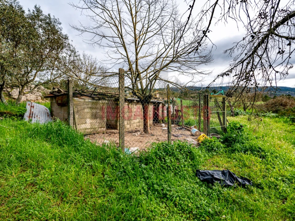 Moradia T3 para Venda em Casas do Soeiro Foto 33