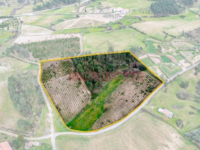 Moradia T3 para Venda em Casas do Soeiro Foto 7