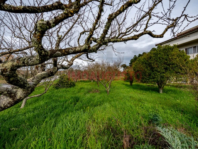 Moradia T3 para Venda em Casas do Soeiro Foto 32