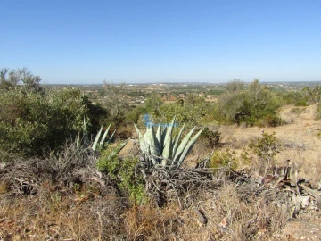 Terreno para Venda em Silves