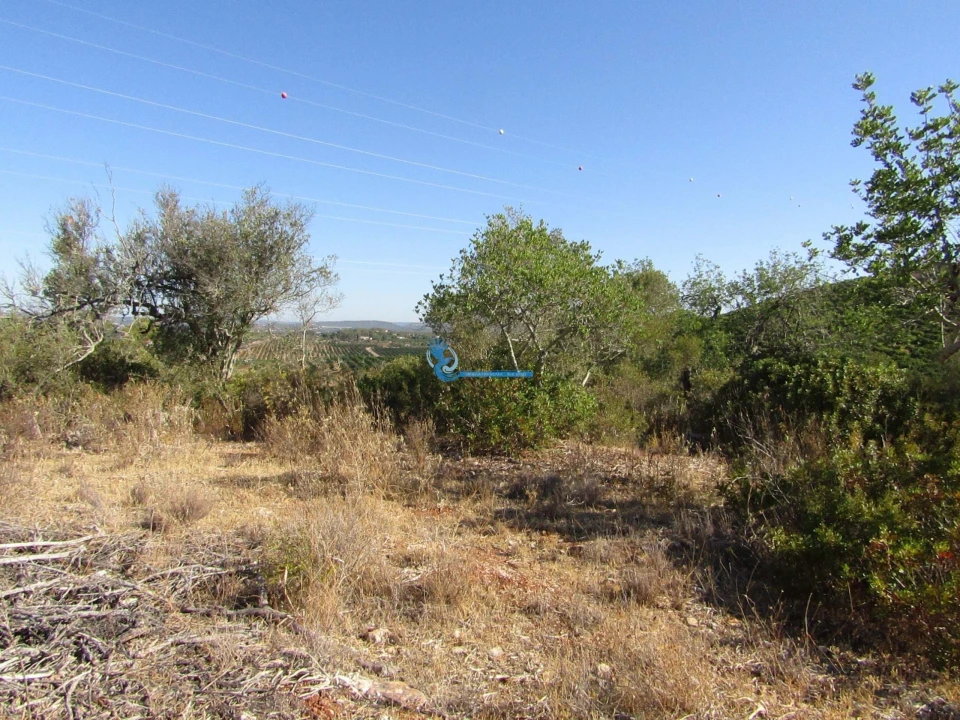 Terreno para Venda em Silves Foto 6