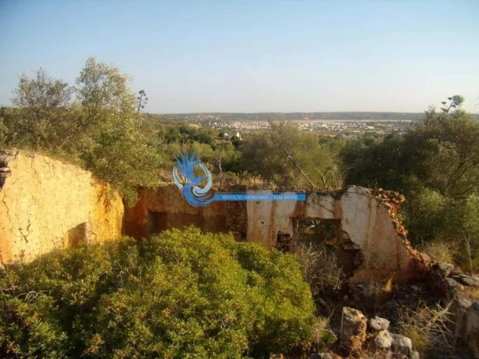 Terreno para Venda em Silves Foto 2