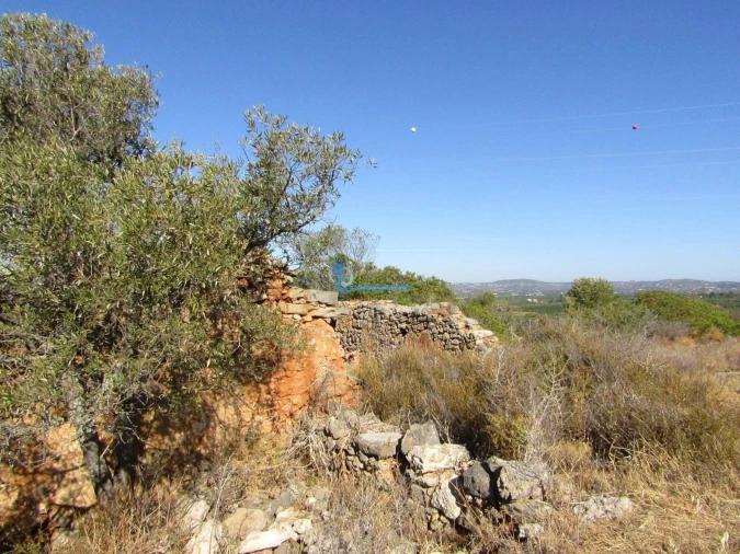 Terreno para Venda em Silves Foto 5