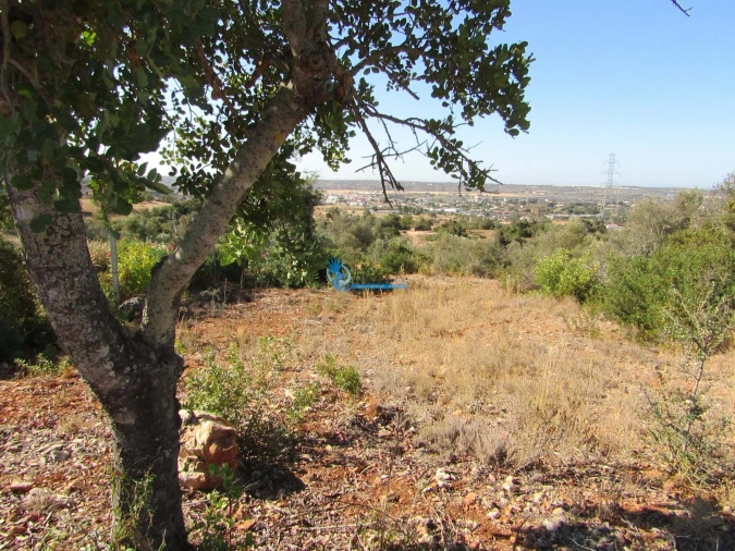 Terreno para Venda em Silves Foto 3