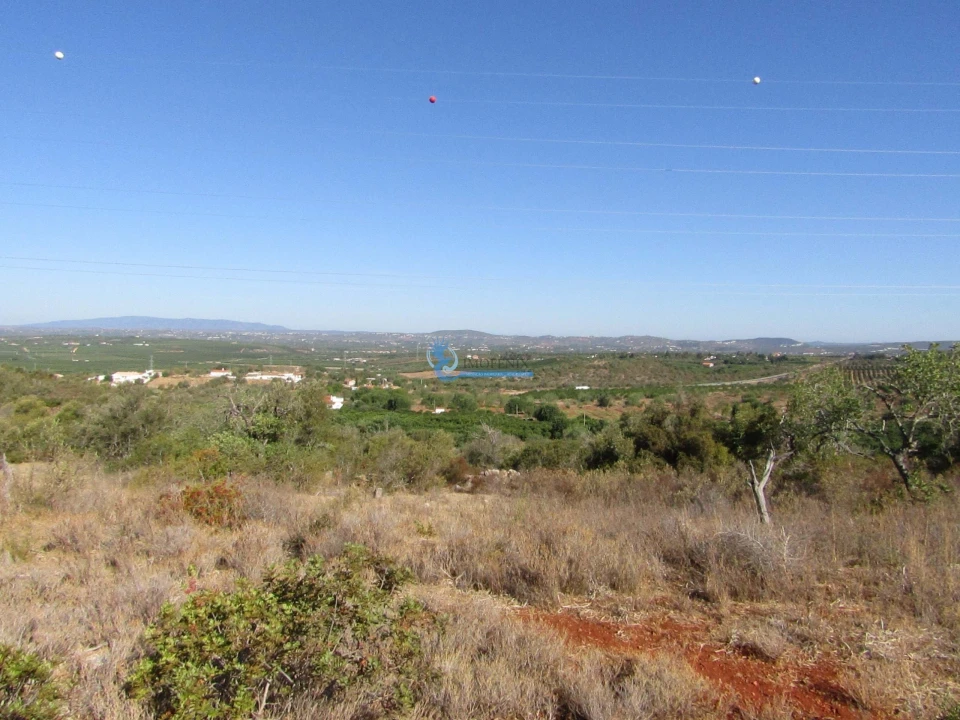 Terreno para Venda em Silves Foto 4