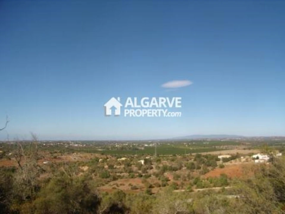 Terreno para Venda em Silves Foto 5