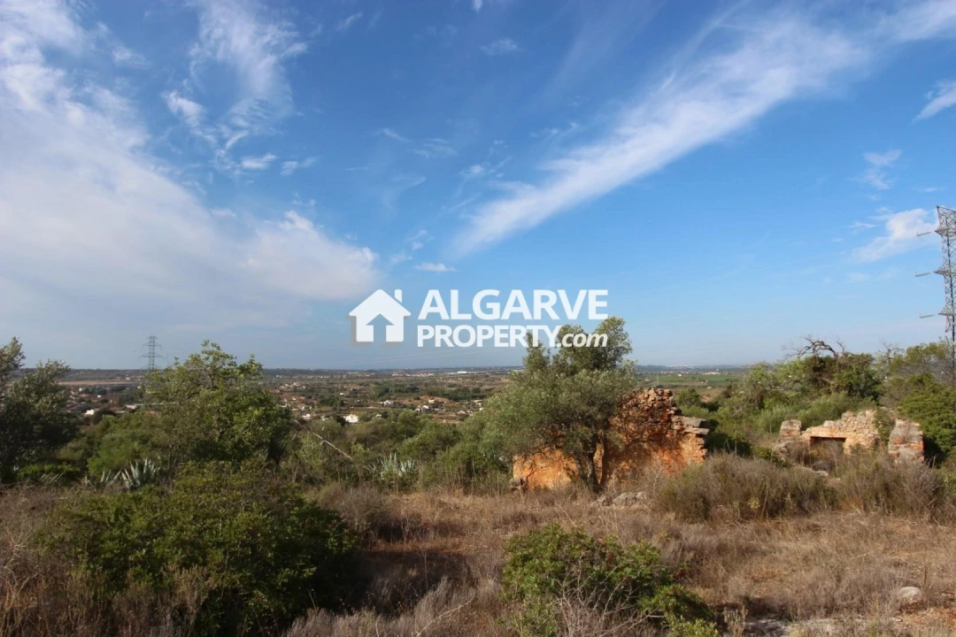 Terreno para Venda em Silves Foto 6