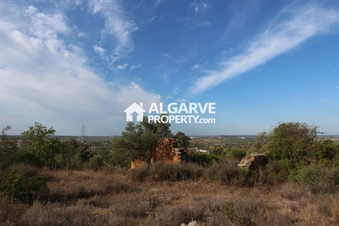 Terreno para Venda em Silves Foto 7