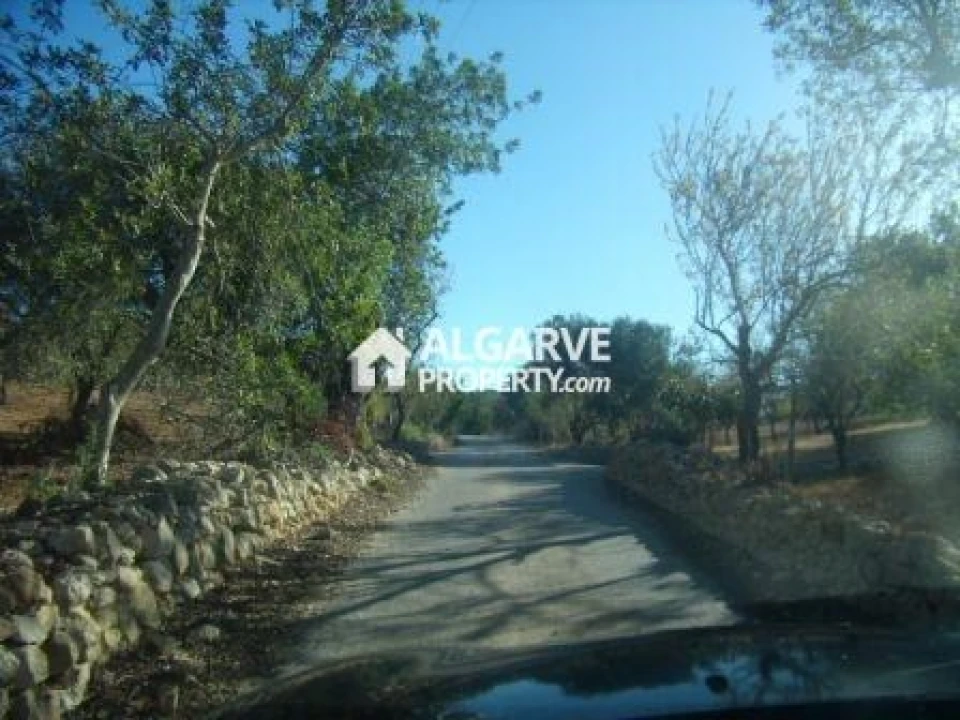 Terreno para Venda em Silves Foto 2