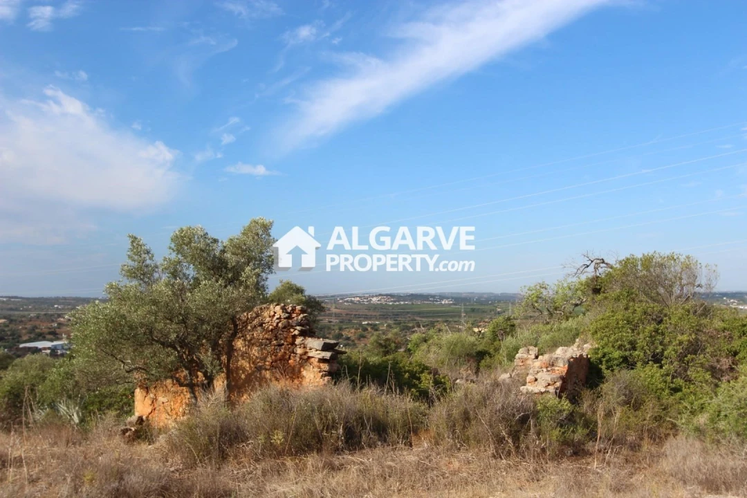 Terreno para Venda em Silves Foto 9