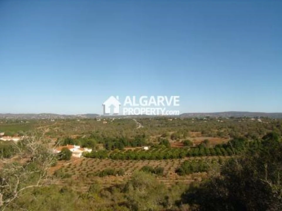 Terreno para Venda em Silves Foto 4