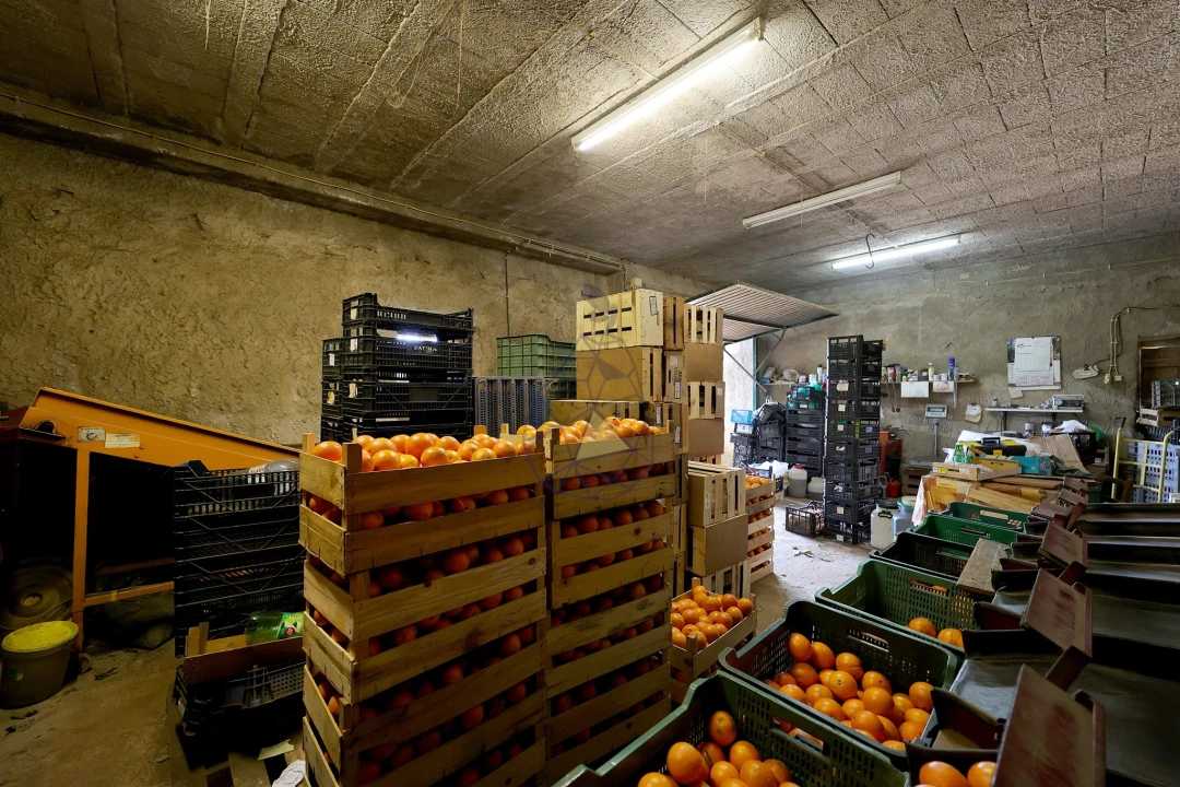 Quinta para Venda em Mexilhoeira Grande Foto 22