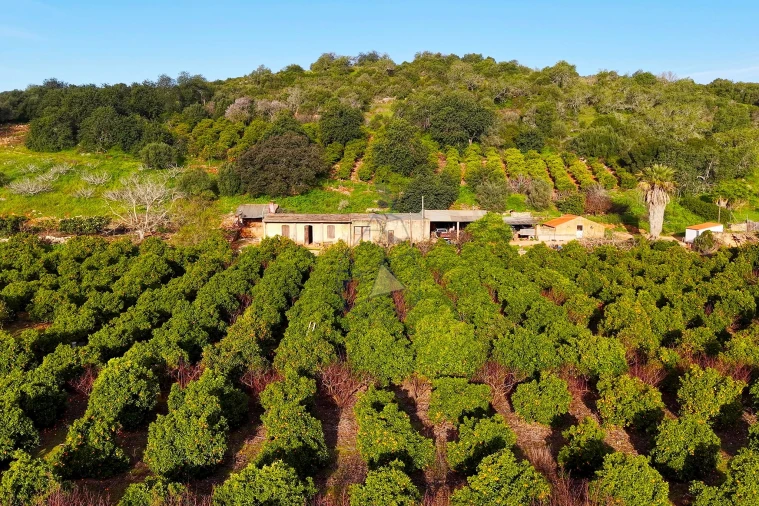 Quinta para Venda em Mexilhoeira Grande Foto 7