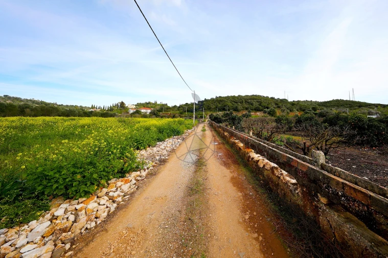 Quinta para Venda em Mexilhoeira Grande Foto 2