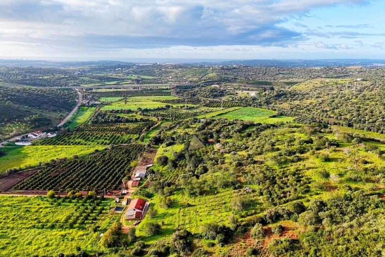 Quinta para Venda em Mexilhoeira Grande Foto 31