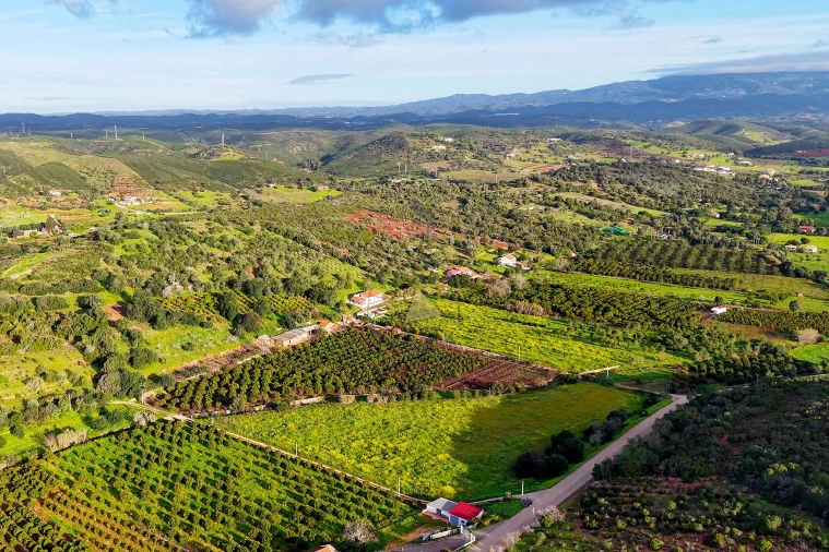 Quinta para Venda em Mexilhoeira Grande Foto 5