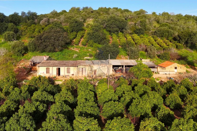 Quinta para Venda em Mexilhoeira Grande Foto 4