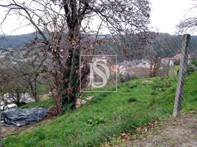 Terreno para Venda em Rossas Foto 11