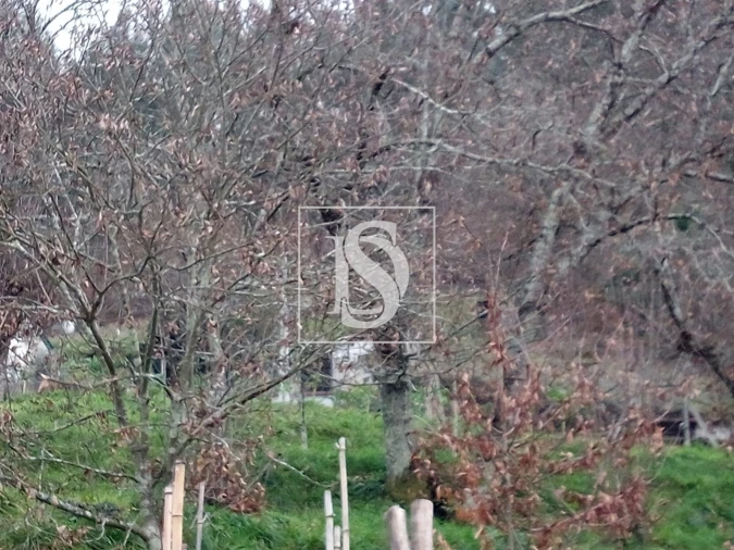 Terreno para Venda em Rossas Foto 10